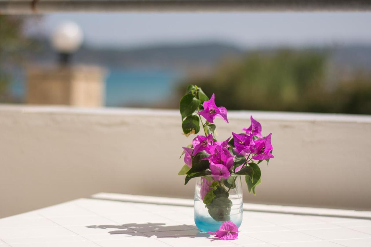 Potamitis House Apartment Аликес Екстериор снимка